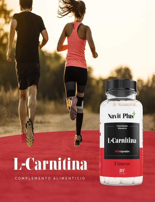 l carnitina